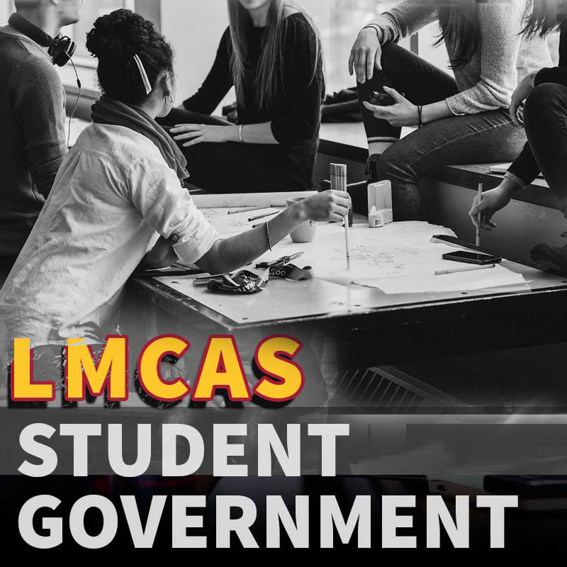 LMCAS Student Government