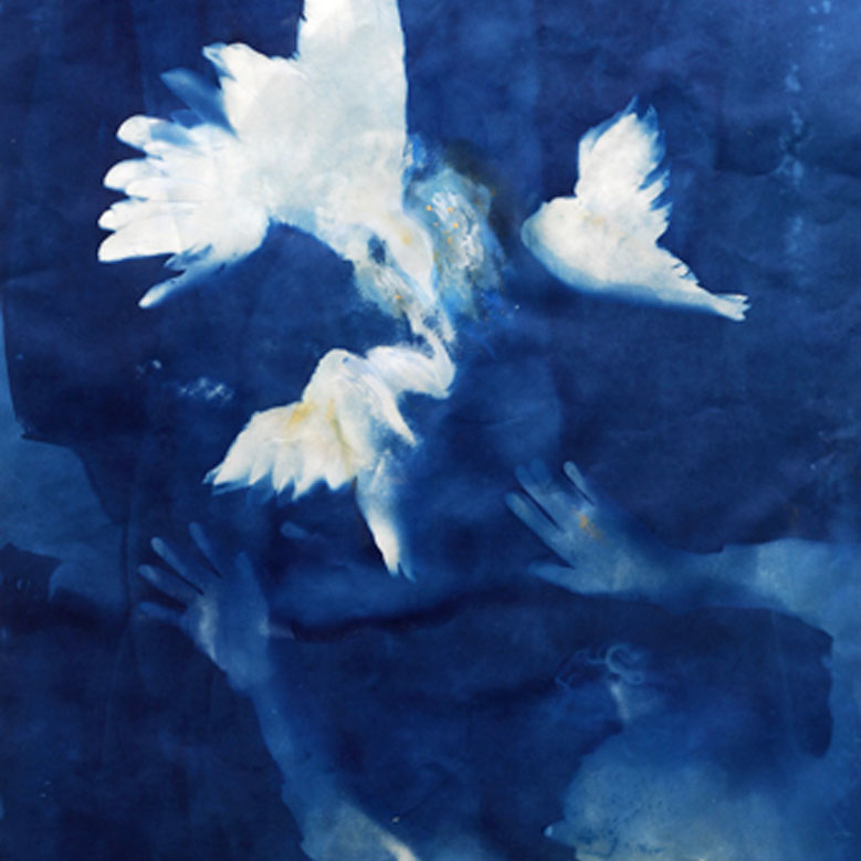 Taking Flight by Ann Holsberry, cyanotype, 2014