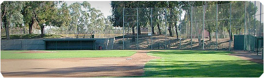 the field