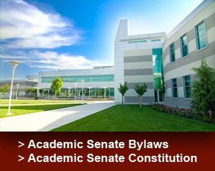 Bylaws and Constitution