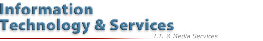 Information Technology and Services