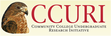 CCURI Logo