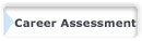Online Assessments