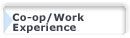 Co-op/Work experience