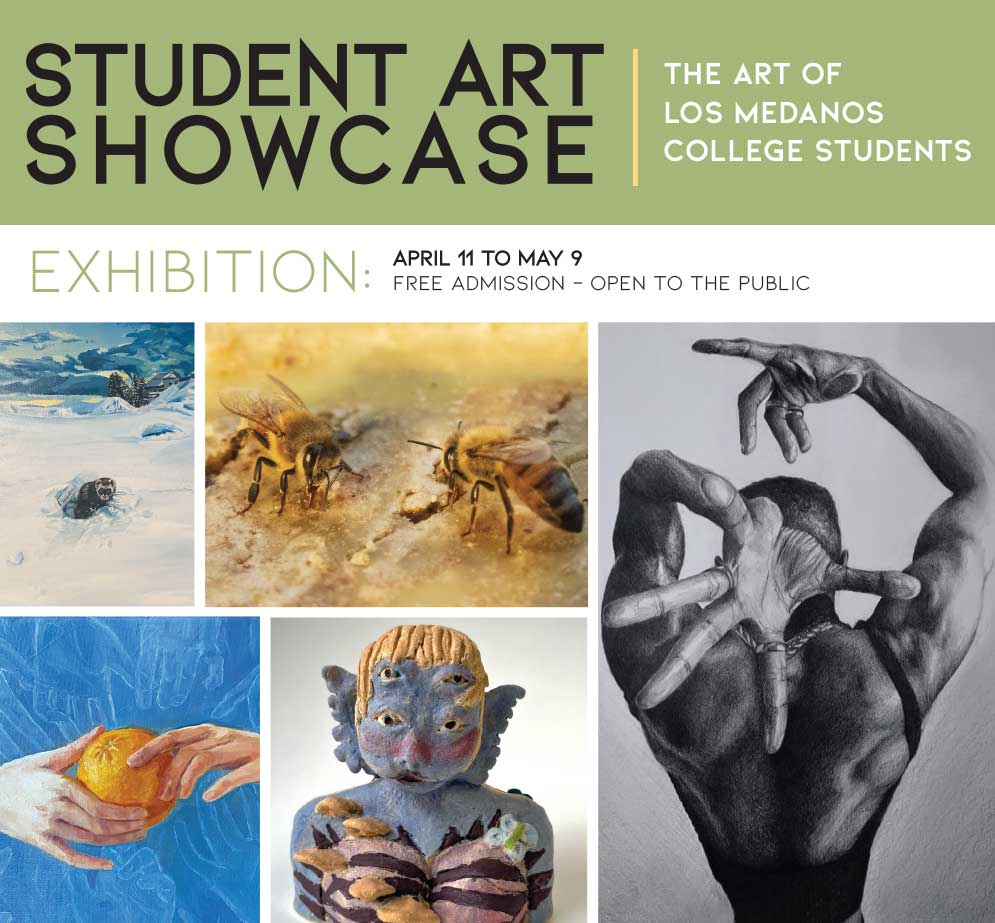 LMC student art showcase