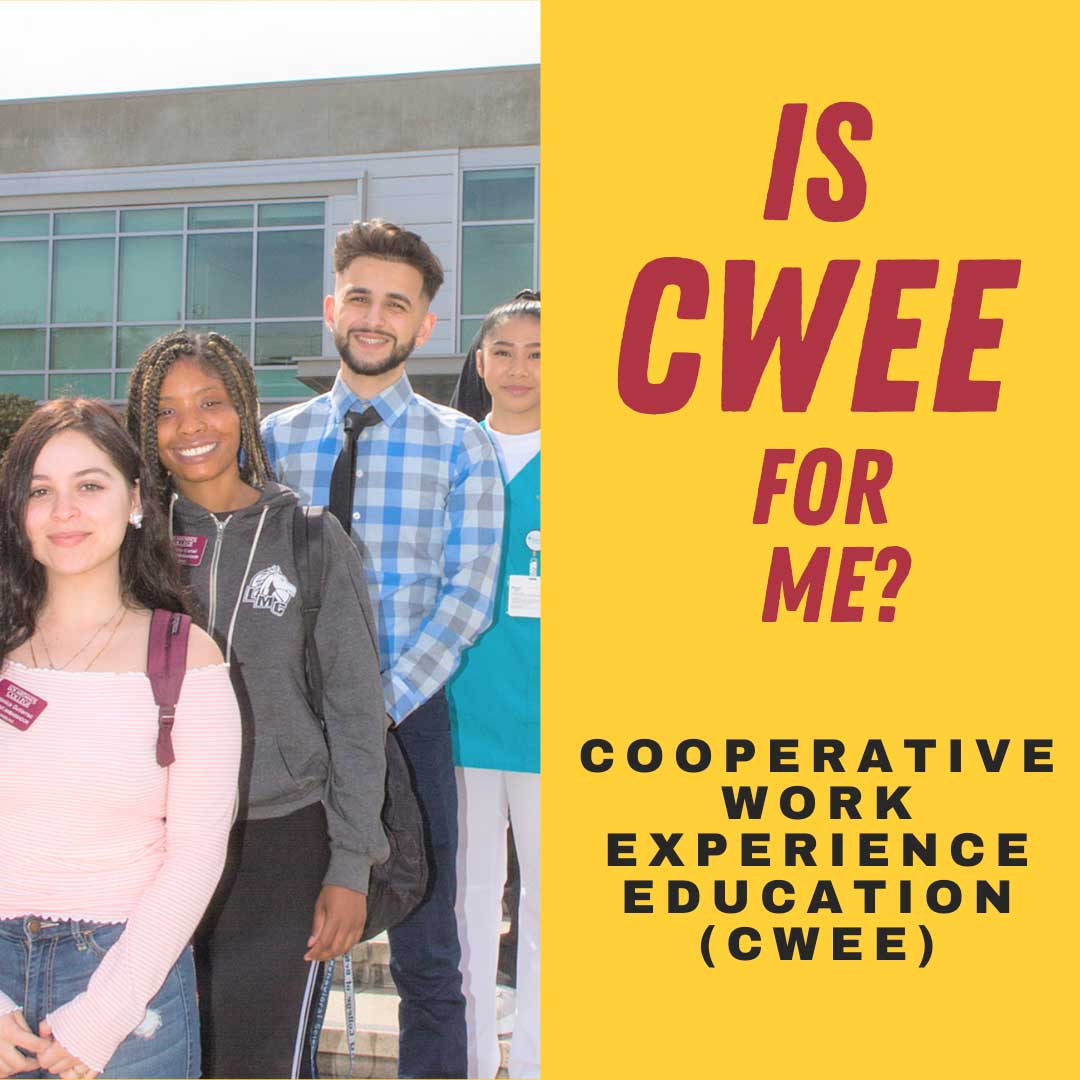 Would you like to know more about CWEE?