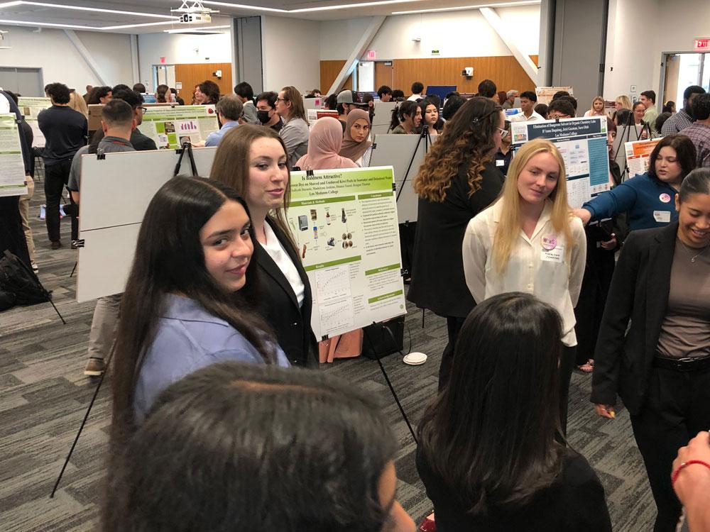 Stem 2025