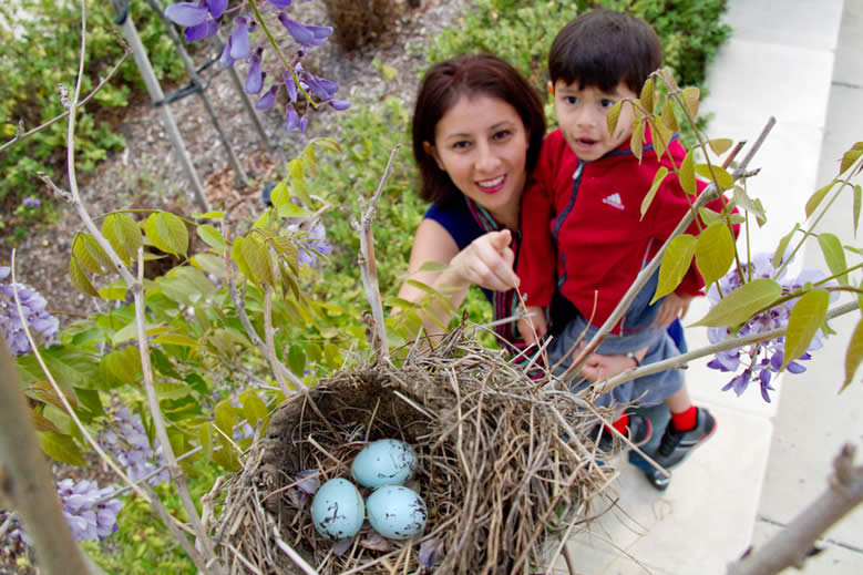 Young woman and boy looking at a birds nest