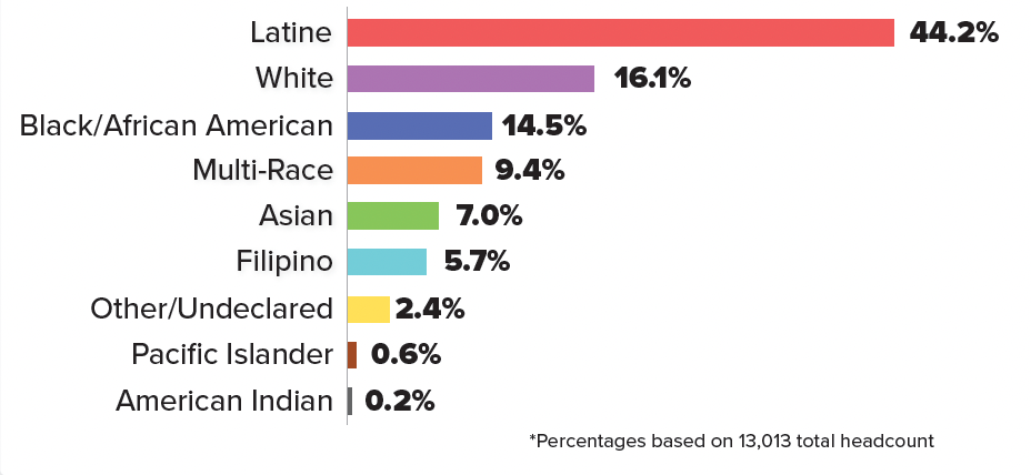 Bar chart showing ethnicity breakdown
