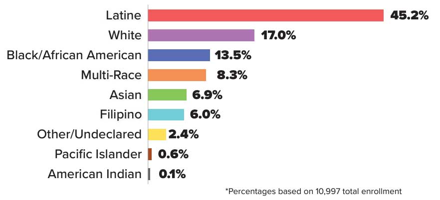 Bar chart showing ethnicity breakdown