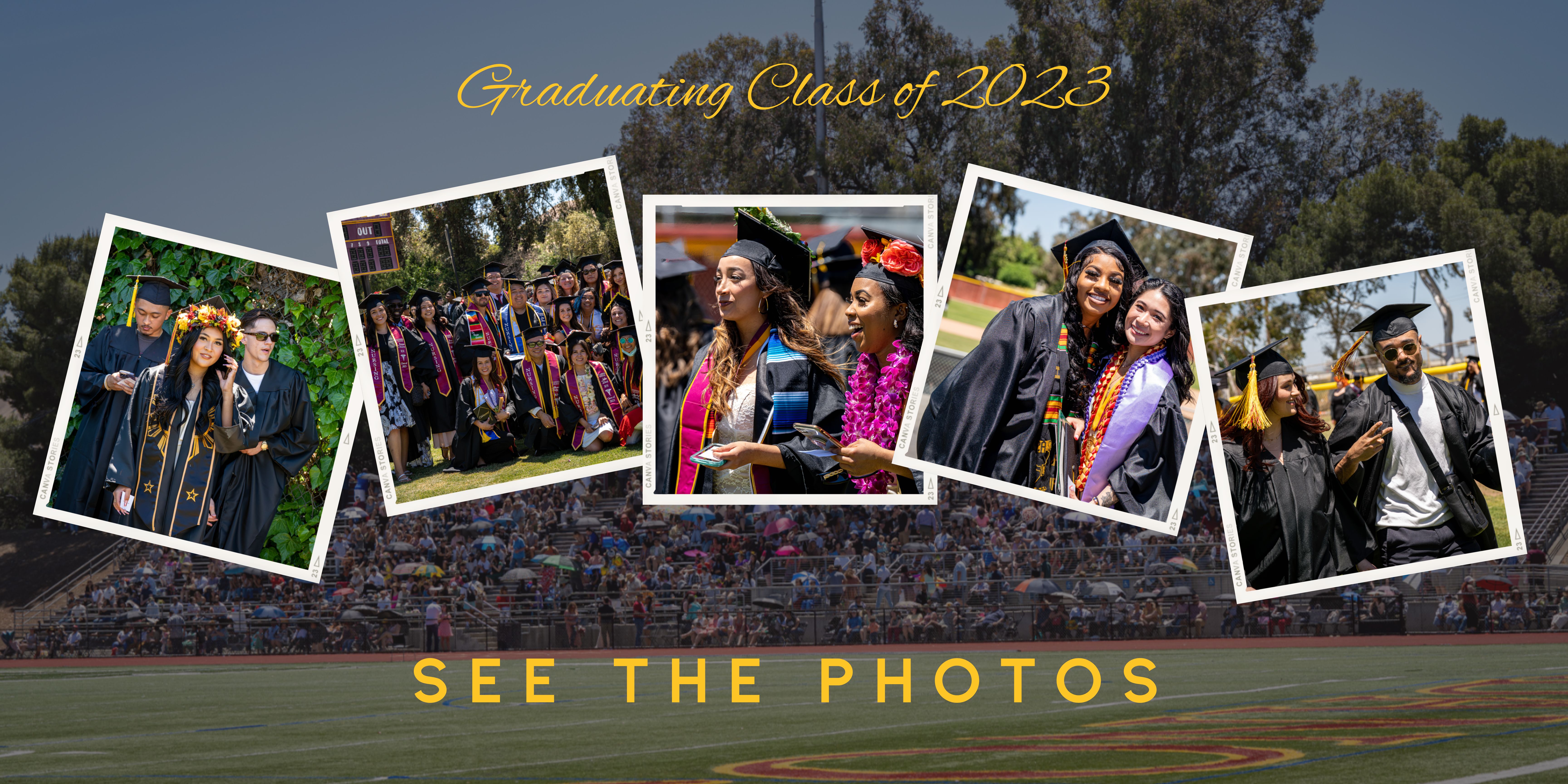 View the photos