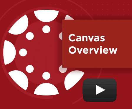 Canvas Overview 