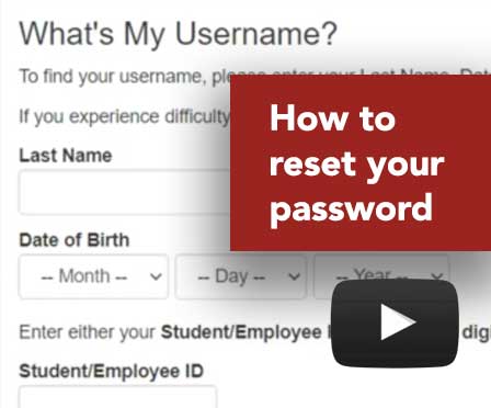 Launch video to learn how to reset your password