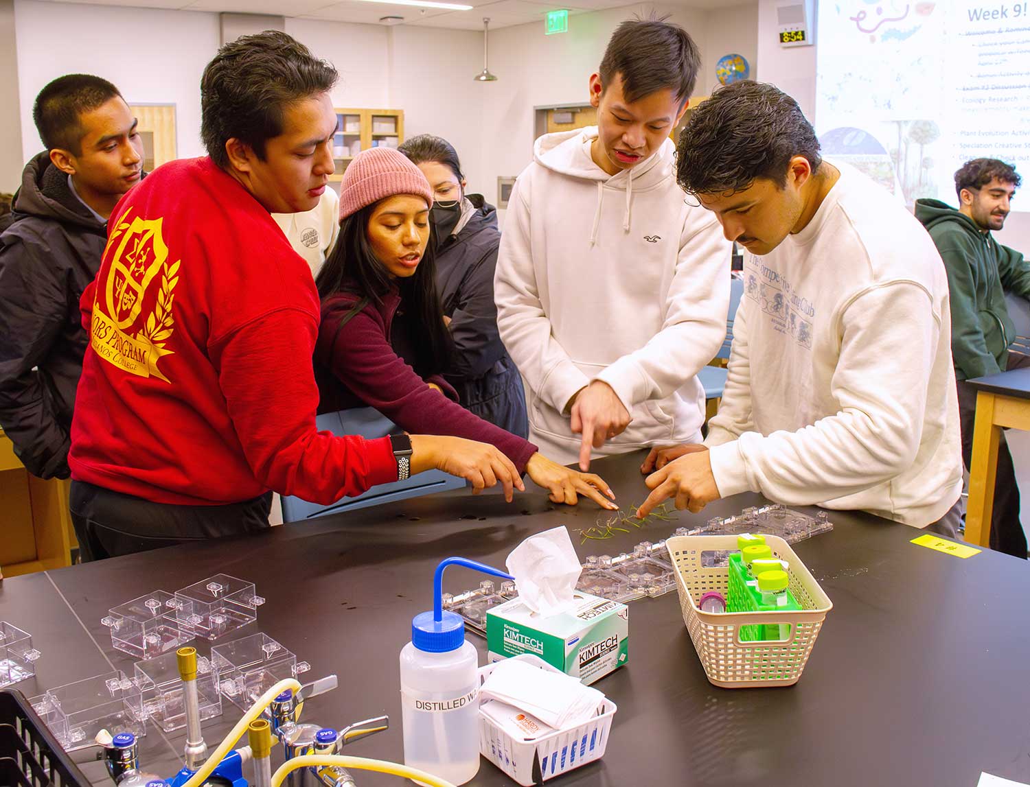 Students seeing how the plants are doing