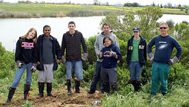 Honors Planting and Mulching