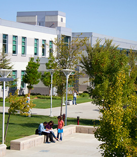 students at the campus hanging out