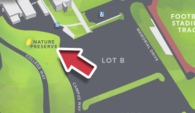 detail of map