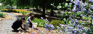 students doing experiment