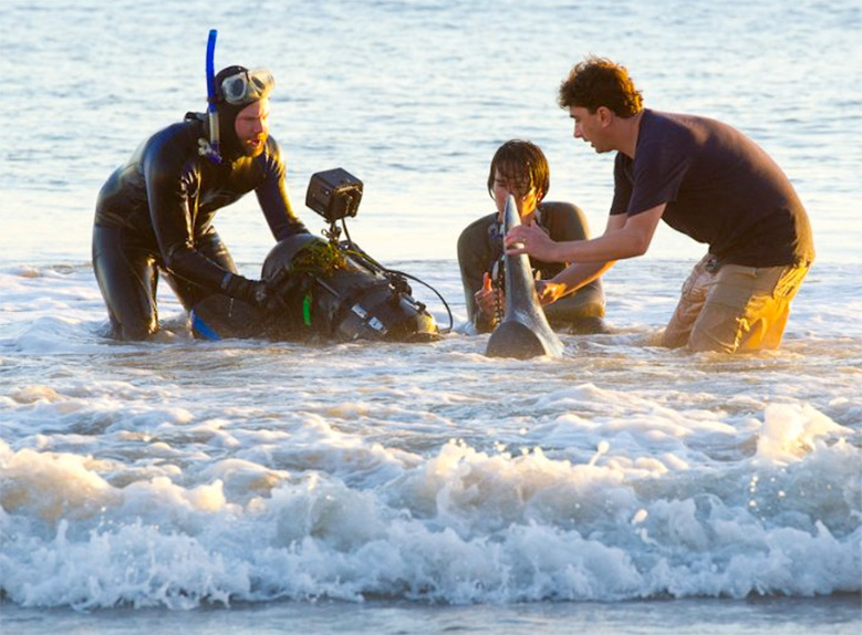 The making of sharknado