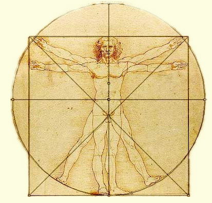 Kinesiology image