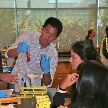 STEM Research at LMC