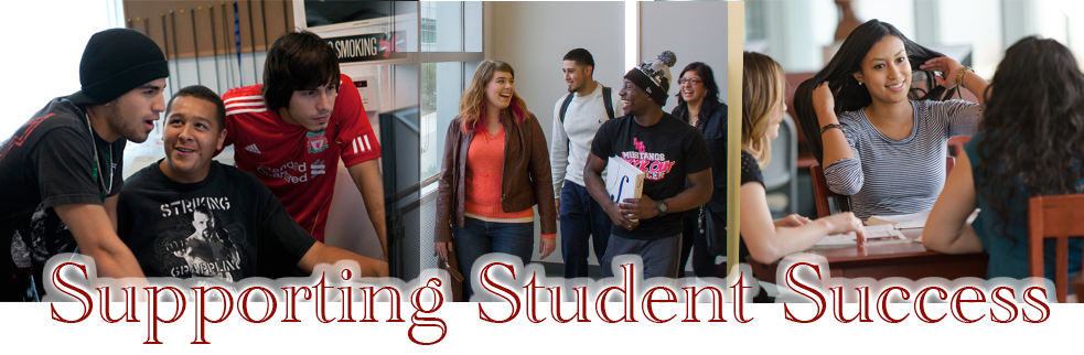 Supporting Student Success