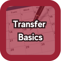 transferbasics