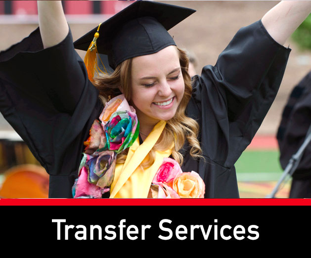 Transfer services